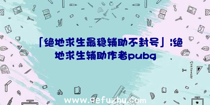 「绝地求生最稳辅助不封号」|绝地求生辅助作者pubg